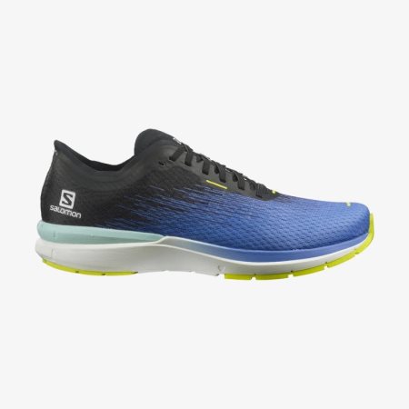 Salomon SONIC 4 Accelerate Mens Running Shoes Blue | Salomon South Africa